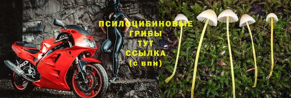 скорость mdpv Новозыбков