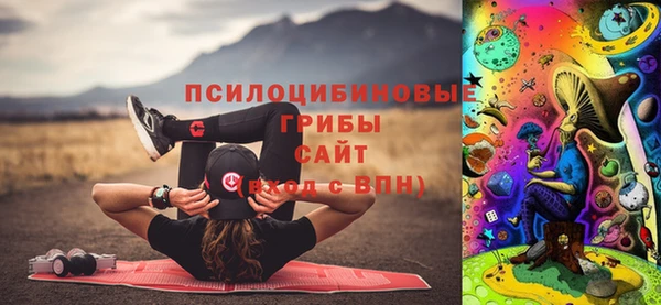 дживик Новокубанск