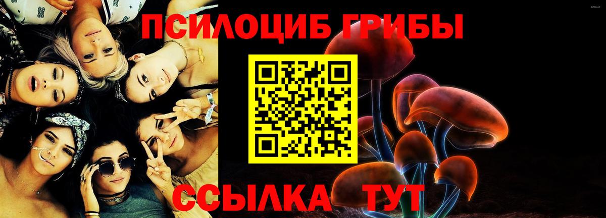 Галлюциногенные грибы Cubensis  купить наркотик  Россошь  Вход с VPN  Псилоцибиновые грибы мухоморы 